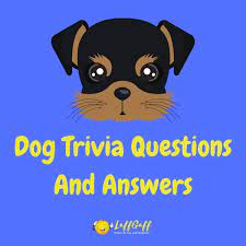 Built by trivia lovers for trivia lovers, this free online trivia game will test your ability to separate fact from fiction. 20 Fun Free Dog Trivia Questions And Answers Laffgaff