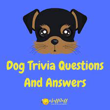Perhaps it was the unique r. 100s Of Free Trivia Questions And Answers Laffgaff