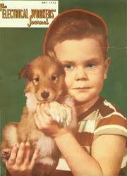 George Sasenick's Instagram, Twitter & Facebook