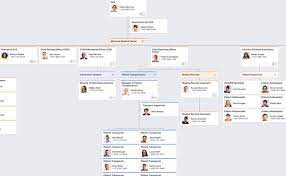 Hospital Organizational Chart Sample Org Chart Organizational Chart Chart