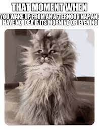 That Moment When You Wake Up From An Afternoon Nap Meme Ahseeit