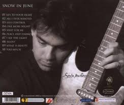 Snow in June by Sandro Martinez: Amazon.co.uk: CDs & Vinyl