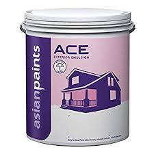 Asian Paint Ace Paint 20 L White Amazon In Home Improvement