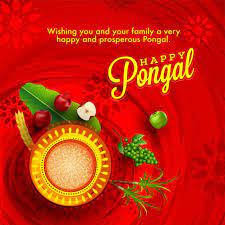 Happy Pongal Card Premium Vector Free Vector Freepik Freevector Card Leaf Grunge Celebration Happy Pongal Card Design Greeting Card Design