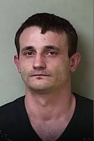 Foster pleads out in domestic case, resisting arrest