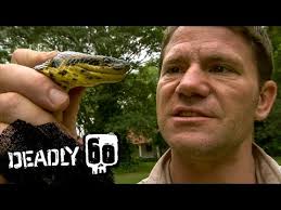 Anaconda Almost Crushes Steve's Hand!