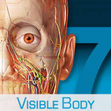 Download human anatomy atlas 2021 and enjoy it on your iphone, ipad, and ipod touch. Human Anatomy Atlas For Windows Pc Joseluisvitte