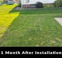 Grass Driveway Grid
