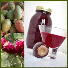 In the video, mike adams demonstrates how to harvest prickly pear cactus fruit (without getting stuck by the spines), how to press the juice out of the cactus fruit (using a juice press, see below), and how to mix the final juice with tea to make a delicious wild foods beverage! China Prickly Pear Juice Making Machine China Juice Making Machine Juice Extractor