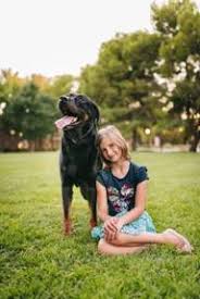 Beaucerons are used by the french police and army, as well as being a popular sport dog for french ring sport, pistage (tracking), schutzhund, agility, and herding. 7 Best Beauceron Breeders In The United States 2021 We Love Doodles