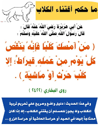 pin by عبد الملك الهضيبي on ahadith ahadith mobile boarding pass boarding pass