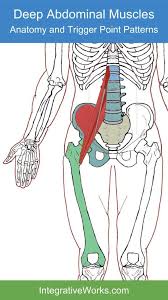 Psoas Minor Functional Anatomy Integrative Works Trigger Points Hip Flexor Trigger Point Therapy