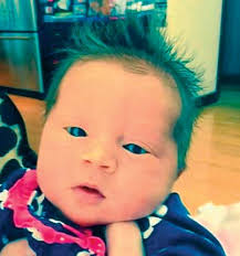 Plainview News 050416_Wayne Layout Template