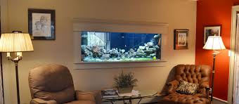Maybe you would like to learn more about one of these? Custom Aquariums Reef Tanks Aquarium Start Up Service Custom Aquarium Cabinet Stand Design Installation Maintenance