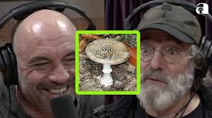 Portobello Mushroom Controversy: Joe Rogan and Paul Stamets' Take
