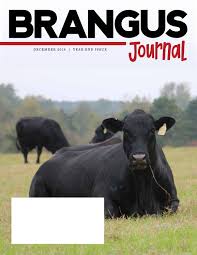 December 2018 Brangus Journal By International Brangus