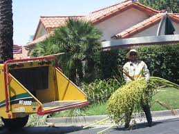 Ronald prides himself on being attentive to detail, professional, and offers lawn work, tree removal, and even tree planting at affordable rates. Tree Services Thousand Palms Ca Pro Landscaping Inc