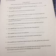 Connective tissue matrix coloring worksheet answers from connective tissue matrix worksheet, image source: What Substances Make Up The Matrix In Connective Tissue Saubhaya Makeup