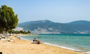 Koya girişte dikkatli olmakta fayda vardır. Akbuk Cam Kokularinin Denizle Birlestigi Mavi Ve Yesilin Tatil Beldesi