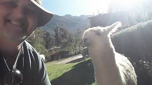 Dan Hockaday (@DanHockaday2)