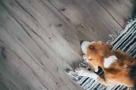 flooring with pets which is best