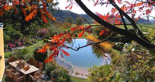 Zuvor sollte die herbstwitterung noch genutzt werden, um die. Goldener Herbst Der 2 Fruhling Fur Den Garten Abschied Und Vorfreude Meine Tipps Das Ist Jetzt Im Herbstgarten Zu Erledigen The Heartgardener
