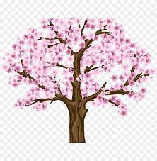 Pngtree offers over 32720 tree png and vector images, as well as transparant background tree clipart images and psd files.download the free graphic resources in the form of png, eps, ai or psd. Sakura Clipart Dogwood Tree Cherry Blossom Tree Png Hd Png Image With Transparent Background Toppng