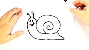 Divertida imagen de un caracol, ideal para que tus hijos pinten mientras aprenden a diferenciar los animales y a respetar el medio ambiente. Como Dibujar Un Caracol Para Ninos Dibujo Facil De Un Caracol Paso A Paso Youtube