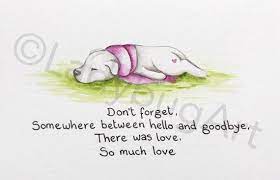  So Much Love 5x7 Inch Art Print Pet Grief Pet Loss Quotes Dog Loss Quotes