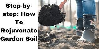 Does the garden soil we use in our containers has an expiry. Step By Step How To Rejuvenate Garden Soil Gardeners By Trade