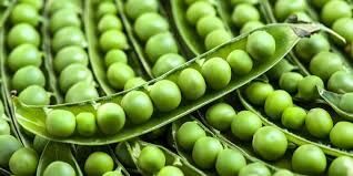 Maybe you would like to learn more about one of these? Can Dogs Eat Peas 2021 Guide
