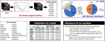Axis net, my axis net, axis net apk mungkin anda bisa coba aplikasi ini tentunya khusus bagi pengguna kartu axis kurang lebih fiturnya . Fairness In Cardiac Magnetic Resonance Imaging Assessing Sex And Racial Bias In Deep Learning Based Segmentation Medrxiv