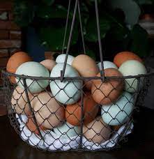 How To Store Wash Fresh Eggs Best Practices For Backyard Chicken Eggs Homestead And Chill