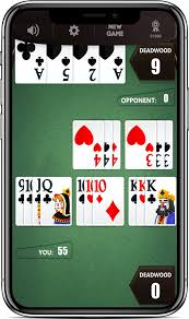 This software is available at www.specialksoftware.com. Gin Rummy Classic Card Game For Free