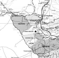 Image result for Streptopetalum serratum