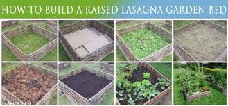 How To Make A Lasagna Garden Lasagna Gardening Organic Vegetable Garden Garden Beds