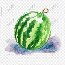 Imej warna warni hidupku selangor ini dipetik dari laman web berikut : Buah Tembikai Buah Buatan Tangan Yang Dibeli Tangan Tembikai Gambar Unduh Gratis Imej 611435509 Format Psd My Lovepik Com
