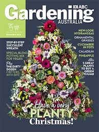 Cover Issue Dec 2018 Christmas Fun Beautiful Christmas Trees Magazine Cover