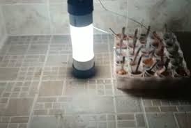 Harga bagus, layanan lebih baik. Lampu Pijar Listrik Ini Terbuat Dari Tanah Liat Republika Online