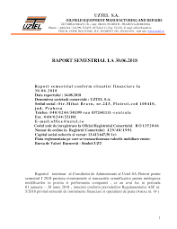 Bilant semestrial, declaratie, raportari contabile semestru, situatii financiare, 220000lei. 2