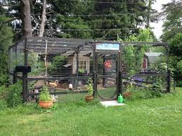 Coop Tales - The Evolution of my Coop | BackYard Chickens - Learn How to  Raise Chickens