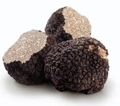 We did not find results for: The Most Expensive Mushrooms In The World A List