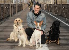 Jan 01, 2021 · who is this new york itinerary for? Dogboynyc