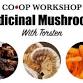 Medicinal Mushrooms With Torsten event in Blue Hill, ME