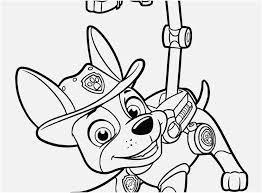 Everest tracker is able to track down anything using his advanced hearing. Printable Paw Patrol Coloring Pages Concept Paw Patrol Tracker Coloring Home