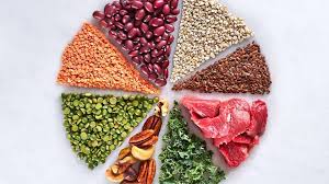 Image result for Protein