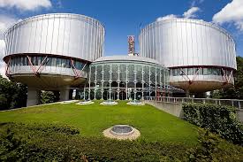 À ne pas confondre avec la cour de justice de l'union européenne, qui est une institution de l'union européenne. Procedures Devant La Cour Europeenne Des Droits De L Homme Csdm Centre Suisse De Defense Des Droits Des Migrants