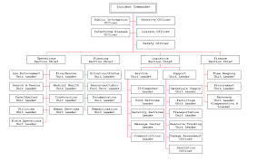 Org Chart Examples From Orgchartpro Com