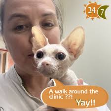 DKC (@dkc.animal.people) • Instagram photos and videos