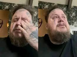 Soft jam-filled sandwich cookie recipe needed